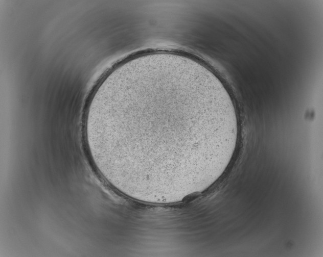 X0000112921327200910051059