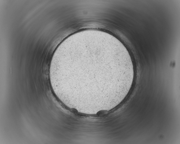X0000112921329200910051059