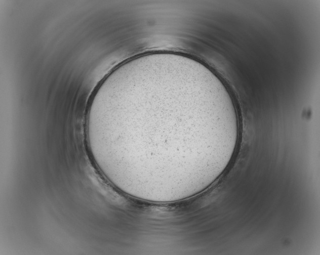 X0000112921330200910051059