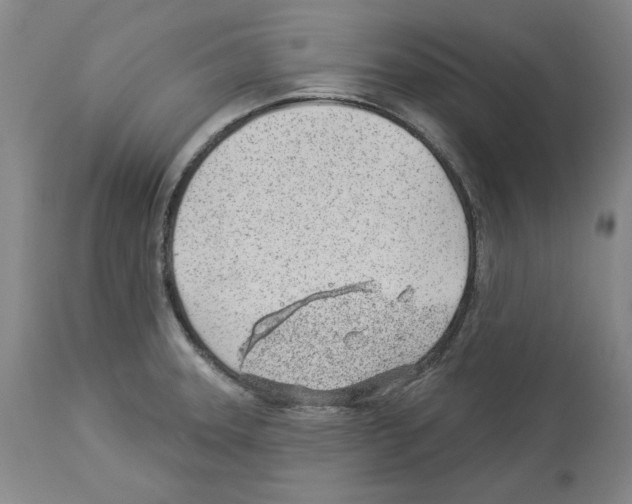X0000112921331200910051059