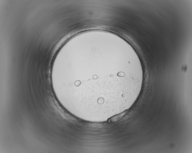 X0000112921332200910051059