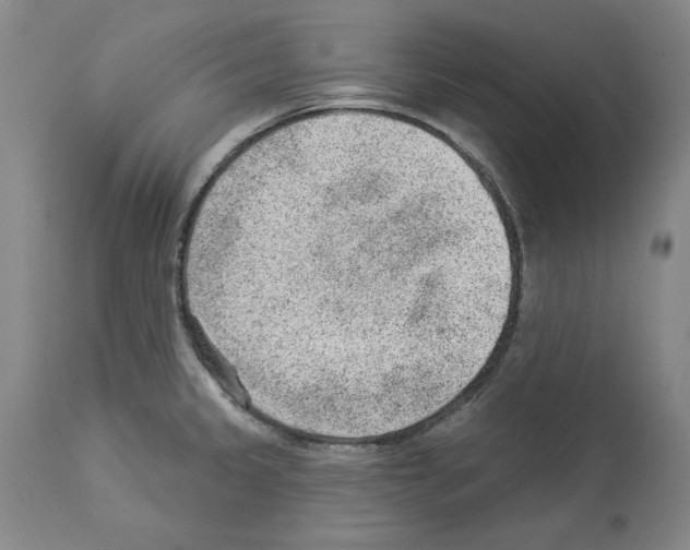 X0000112921333200910051059