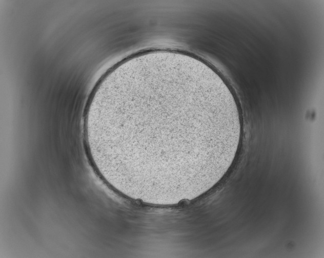 X0000112921335200910051059