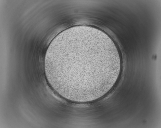 X0000112921337200910051059