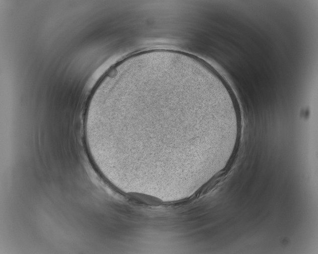 X0000112921341200910051059
