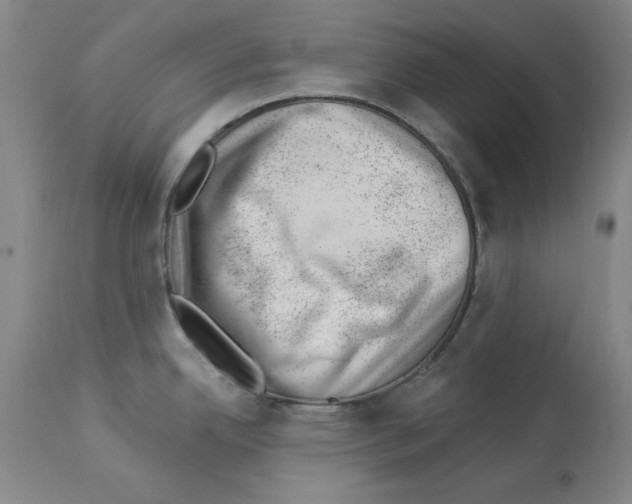 X0000112921342200910051059
