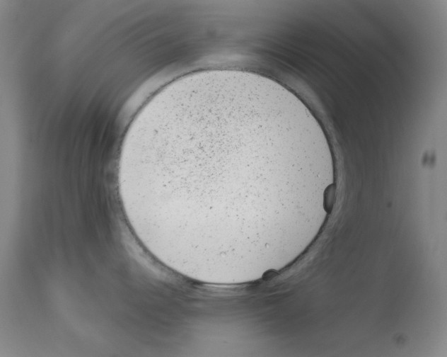 X0000112921344200910051059