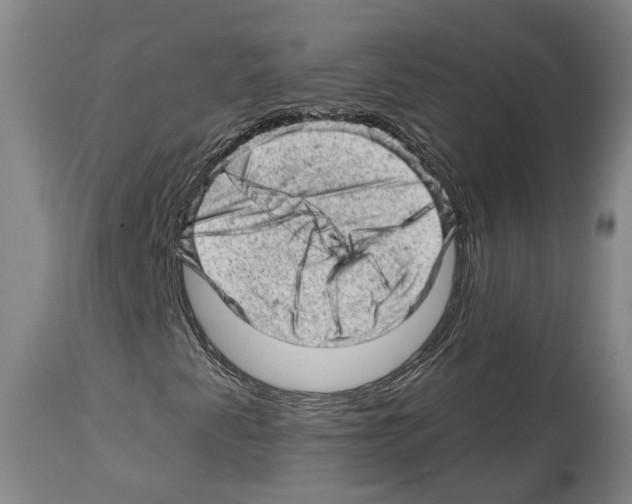 X0000112921345200910051058