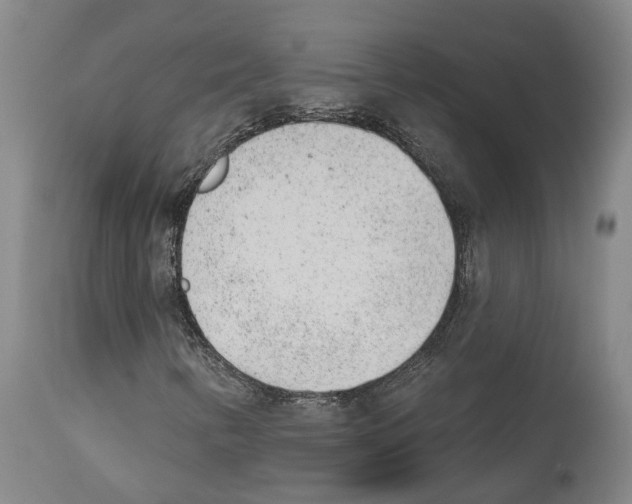 X0000112921346200910051058