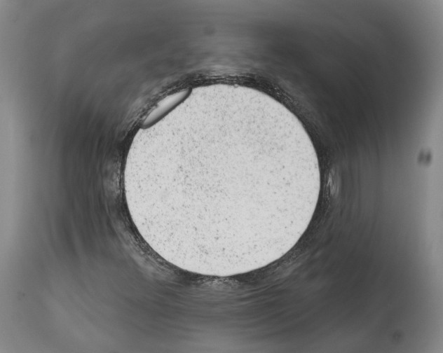 X0000112921348200910051058