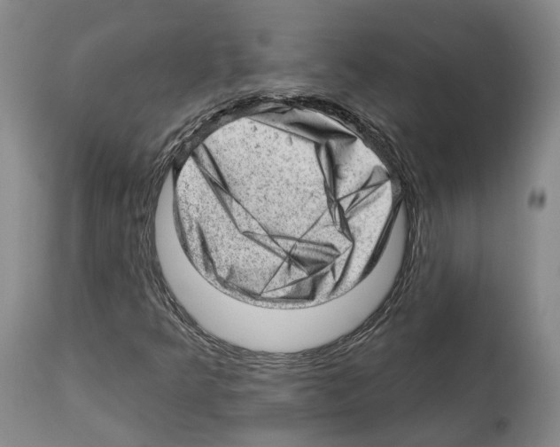 X0000112921349200910051058