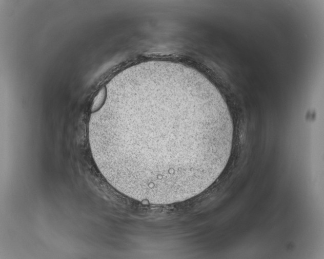 X0000112921350200910051058