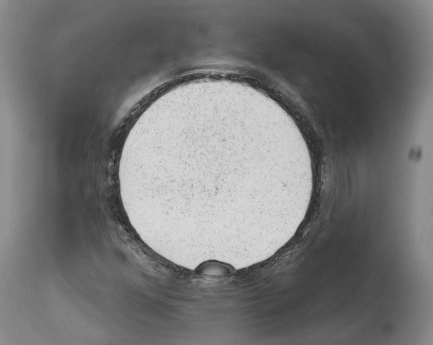 X0000112921352200910051058
