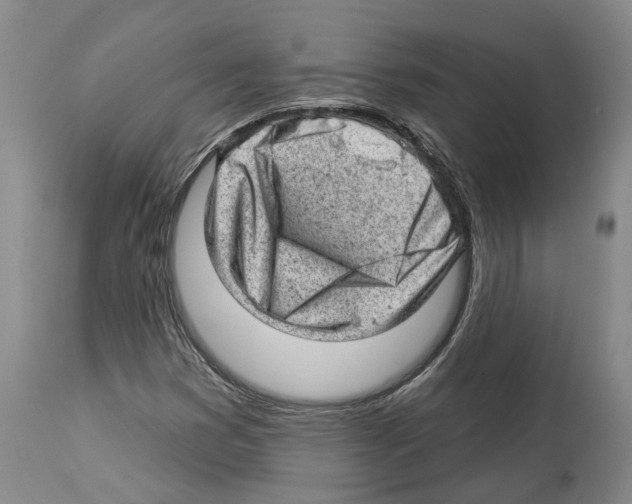 X0000112921353200910051058