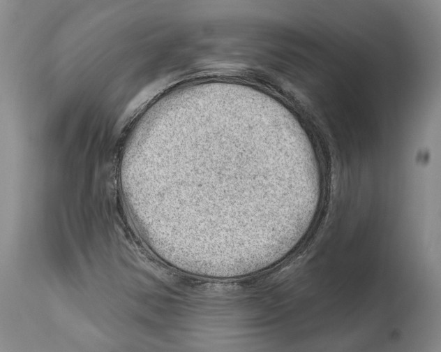 X0000112921354200910051058