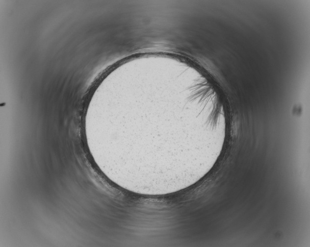 X0000112921356200910051058