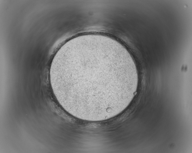 X0000112921358200910051058