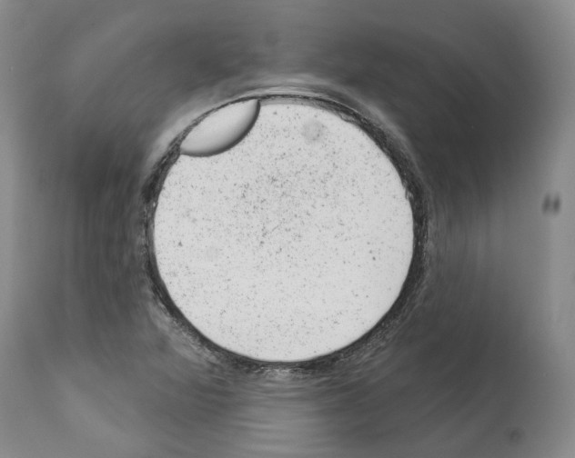 X0000112921360200910051058