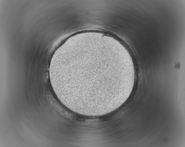 X0000112921363200910051058