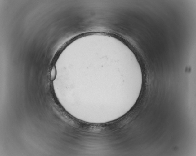 X0000112921364200910051058