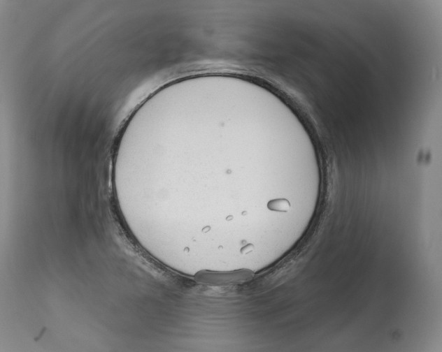 X0000112921365200910051058