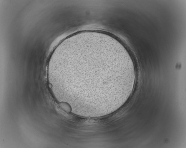 X0000112921366200910051058