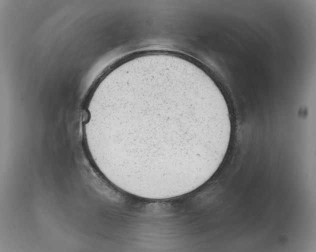 X0000112921368200910051058