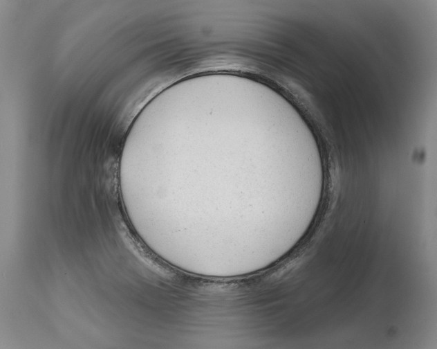 X0000112921369200910051058