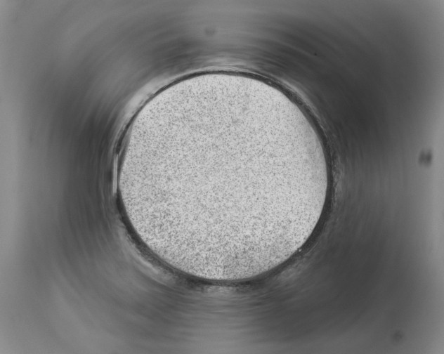 X0000112921371200910051058