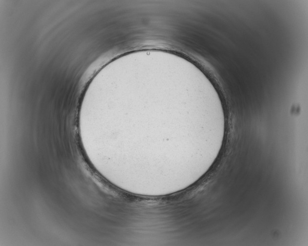 X0000112921373200910051058