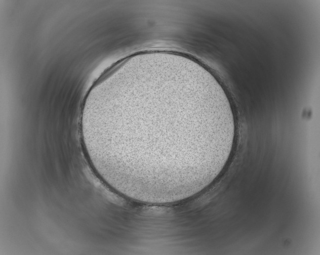 X0000112921374200910051058