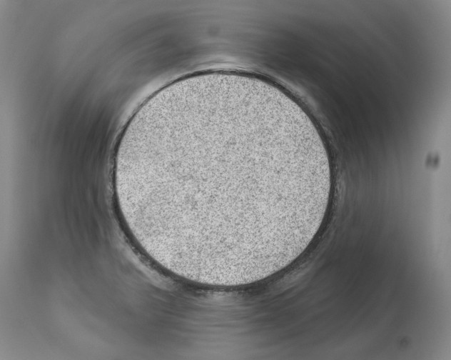 X0000112921375200910051058