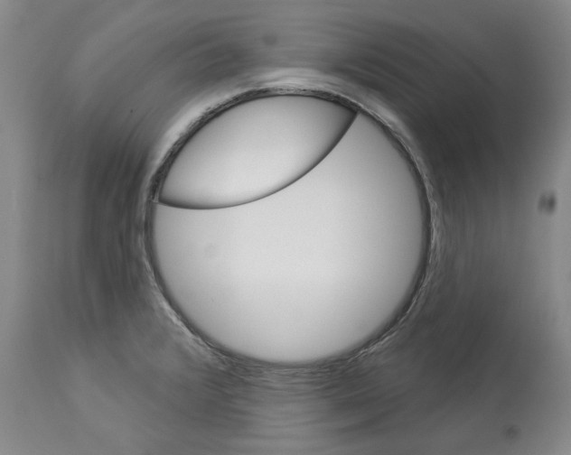 X0000112921376200910051058