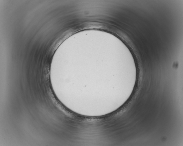 X0000112921377200910051058