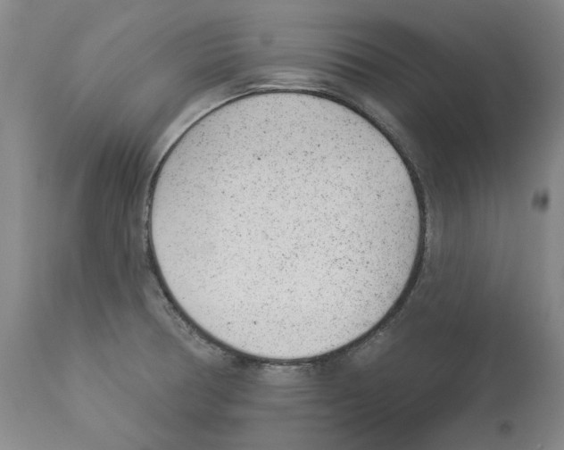 X0000112921378200910051058