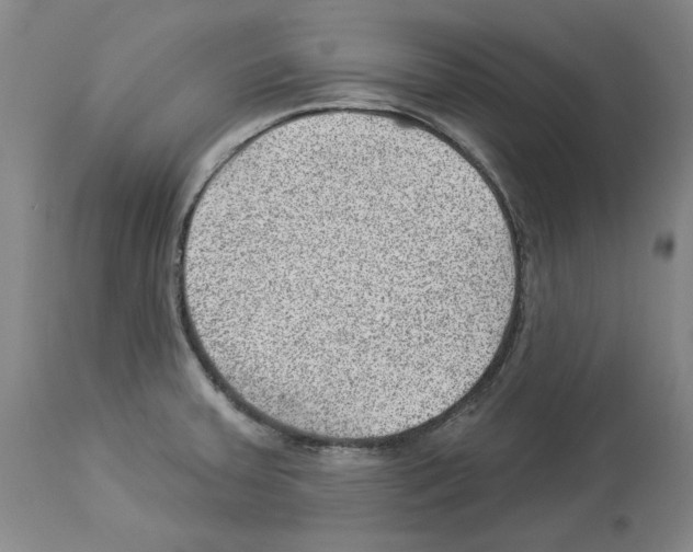 X0000112921379200910051058