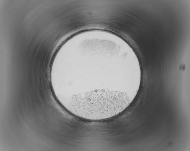X0000112921380200910051057