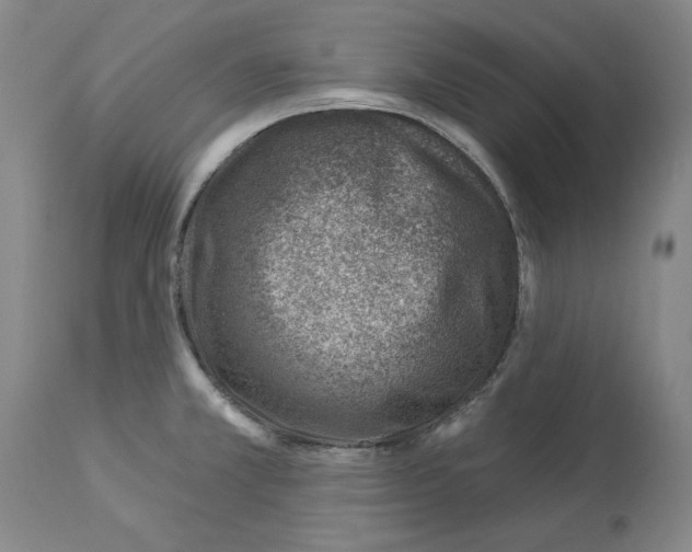 X0000112921381200910051057