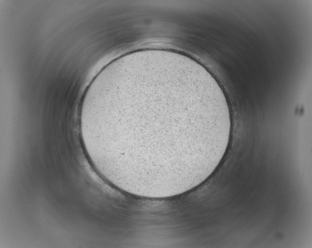 X0000112921382200910051057