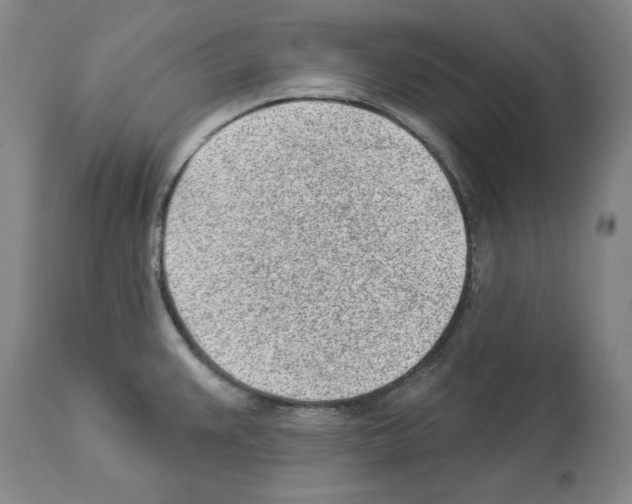 X0000112921383200910051057