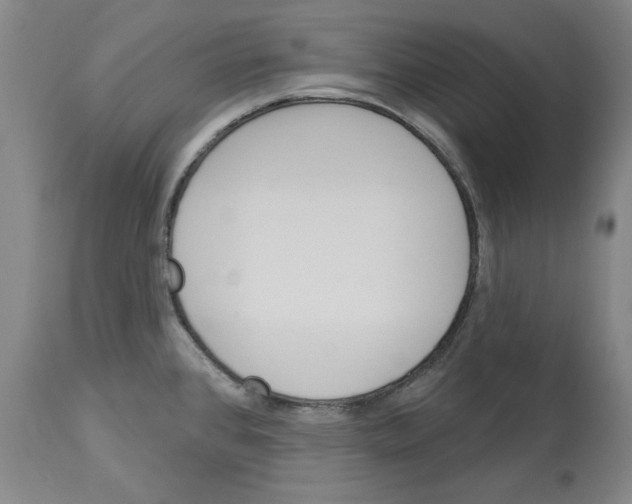 X0000112921384200910051057