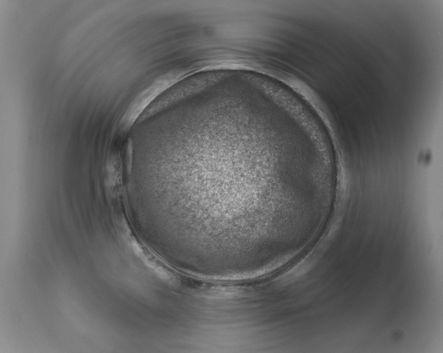 X0000112921385200910051057