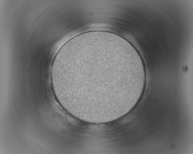 X0000112921386200910051057