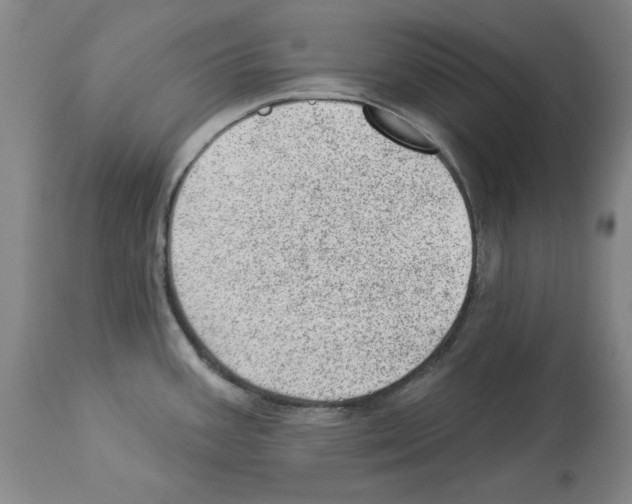 X0000112921387200910051057