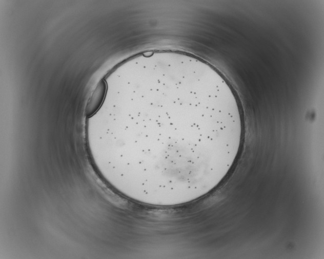X0000112921388200910051057
