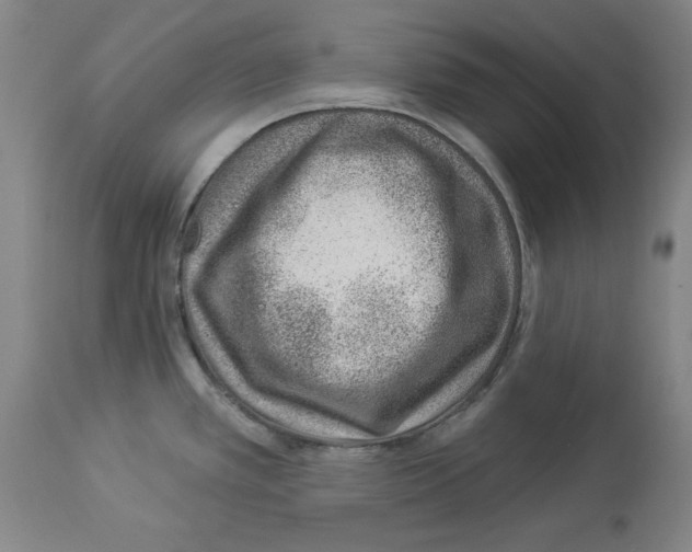 X0000112921389200910051057