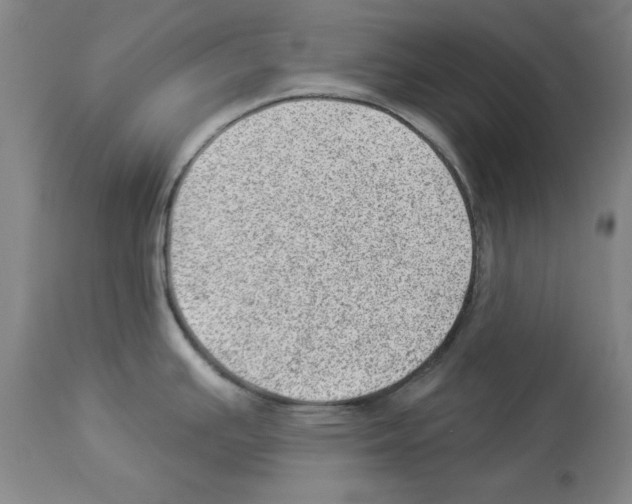 X0000112921391200910051057