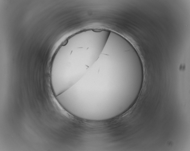 X0000112921392200910051057