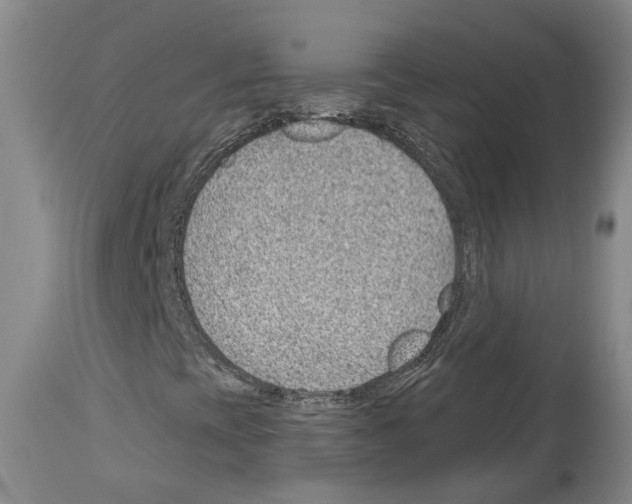 X0000112921393200910051056
