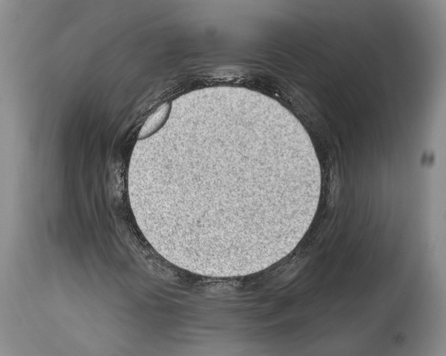 X0000112921394200910051057